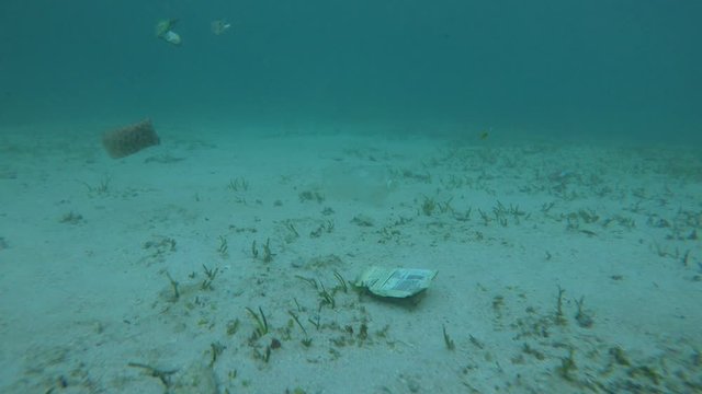 Plastic bags, straws and cups pollution underwater in sea