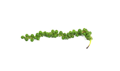 Fresh pepper isolated on white background