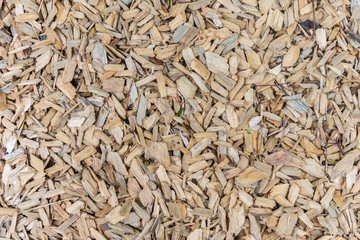 Background of wood sawdust, natural surface in the park
