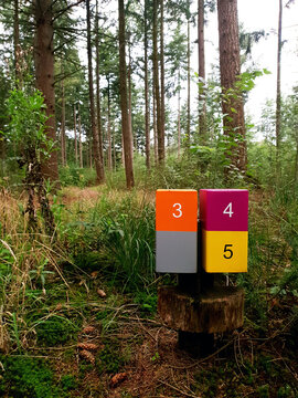 Wooden Sign Post Mile Marker On A Hiking Jogging Trail In A Forest