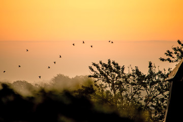 dawn in a city with red sky in autumnal colors