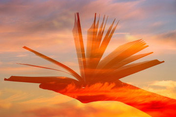 Open book over sky background