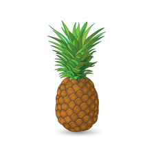 Simple pineapple design 