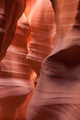 Warm sunlight reflects off the sandstone walls of a narrow slot canyon.