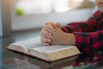 Little boy reading the Holy Bible.