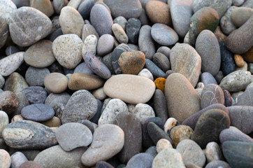 Pebbles on the beach: gray, white and purple stones
