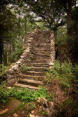 Fototapeta na wymiar stairs in forest