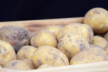 Kartoffeln in einer Holzkiste - erntefrisch - Bauernmarkt - Bauernhof