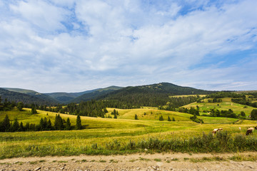 Mountains green valley summer landscape