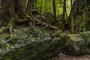 Franconian Switzerland, a picturesque region in Bavaria, is known for its unique natural landscape characterized by majestic cliffs, caves and castles. 