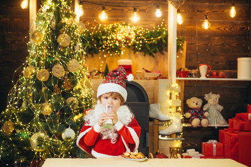 Little Santa picking cookie and glass of milk at home. Christmas cookies and milk. Santa Claus holding Christmas cookies and milk against Christmas tree background.