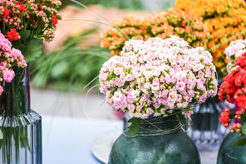 Beautiful color flowers in vases. Perfect blossom floral background. Orange bokeh..