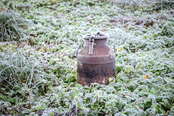 Old milk can in the field covered with frost. Abandoned fields, agriculture and loneliness concept