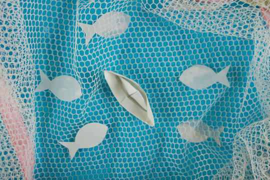 Fish in fish net