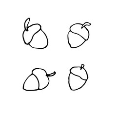 Set of acorns. Hand drawing sketch. Black outline on white background. Picture can be used in advertisement, posters, flyers, banners, logo, further design etc. Vector illustration. EPS10