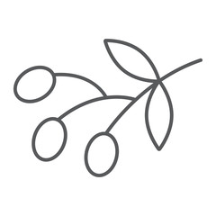 Olives thin line icon, food and vegetable, olive branch sign, vector graphics, a linear pattern on a white backgrond.