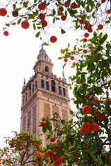 Catedral Santa Maria del Sede