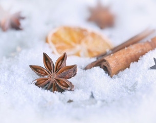 close on star anise and cinnamon on snow
