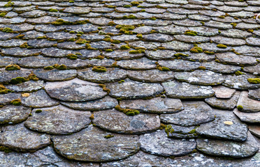 Detail of old slate roof, with moss.