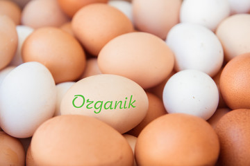 Lots of chicken eggs as background. One egg contains the text organic