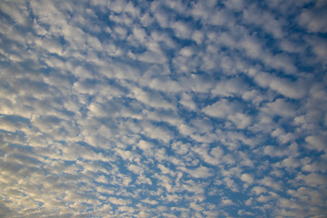 Nubes altocúmulos con cielo azul