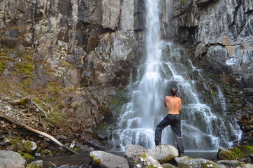 Fototapeta premium waterfall in forest