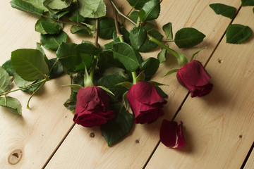 Bouquet of red roses arranged on wooden background