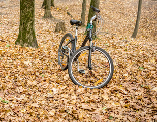 Walking bike stands on the footboard in the autumn forest Park among the fallen leaves