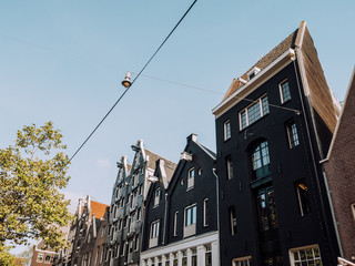 Obraz premium Traditional Houses in Amsterdam