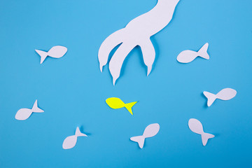 Cat's paw trying to catch fish