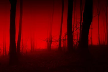 Fotobehang Betoverde Bos horror forest scene, red light in scary night landscape  © andreiuc88