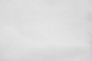 Abstract White Leather Texture used as luxury classic background or upholstery pattern sofa furniture, Leather dyeing industry product export for the country. Clean painted wall for publication space.