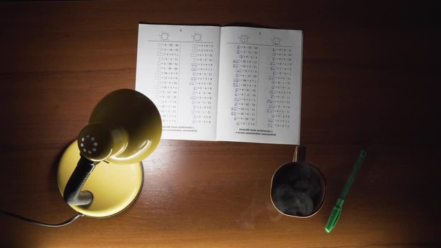 Young Lefthanded Schoolboy Learning Writing Math School Boy Education