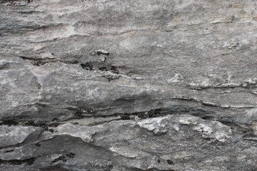Background with patterns of white and black colors