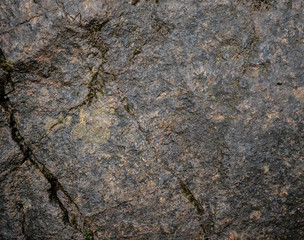Texture of wet stone covered with moss. Background image of macro photography texture stone