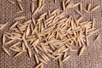 Top view on a group of ripe long unrefined oat seeds scattered on sackcloth