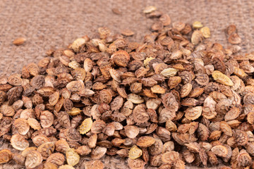 Side view on a heap of brown scratchy textured dry seeds