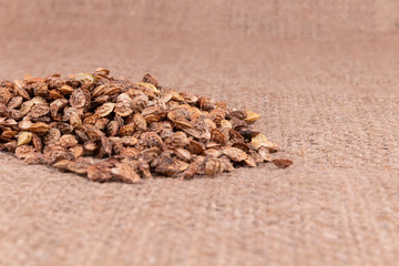 A small heap of organic textured seeds scattered on brown textile