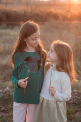 Adorable child blowing away dandelion flower