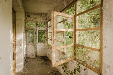 Fototapeta na wymiar une maison abandonnée. La nature reprend ses droits. L'invasion des plantes dans une maison. Un couloir abandonné envahi par les plantes.