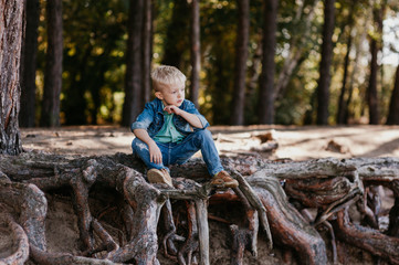 Portrait of a cute little boy of 3 years old outdoor in the autumn park