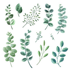 Leaves, herbs, branches watercolor set