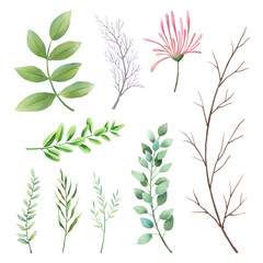 Leaves, herbs, branches, plants watercolor set