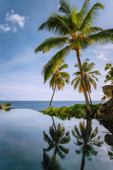 Infinity pool with coconut palm trees and ocean view