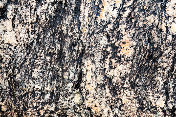 The texture of the stone overgrown with moss. Background image of a boulder