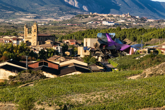 Panor&aacute;mica de Elciego