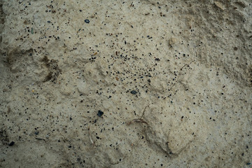 Texture of dried cracked clay. Macro background image of dried clay
