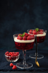 Dessert with berry jelly, vanilla panna cota and fresh raspberry