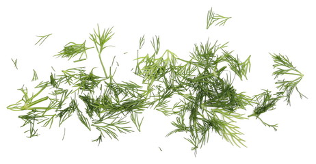 Fresh chopped, cut green dill isolated on white background, top view