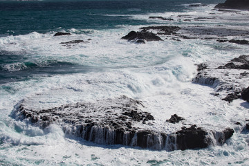 Beautiful scenes in Philip Island, a popular day trip from Melbourne, lies just off Australia’s...